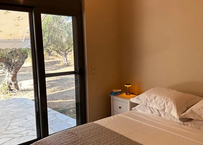 Elaiocampus Luxury House