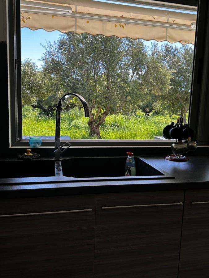 Διαμέρισμα Elaiocampus Luxury House