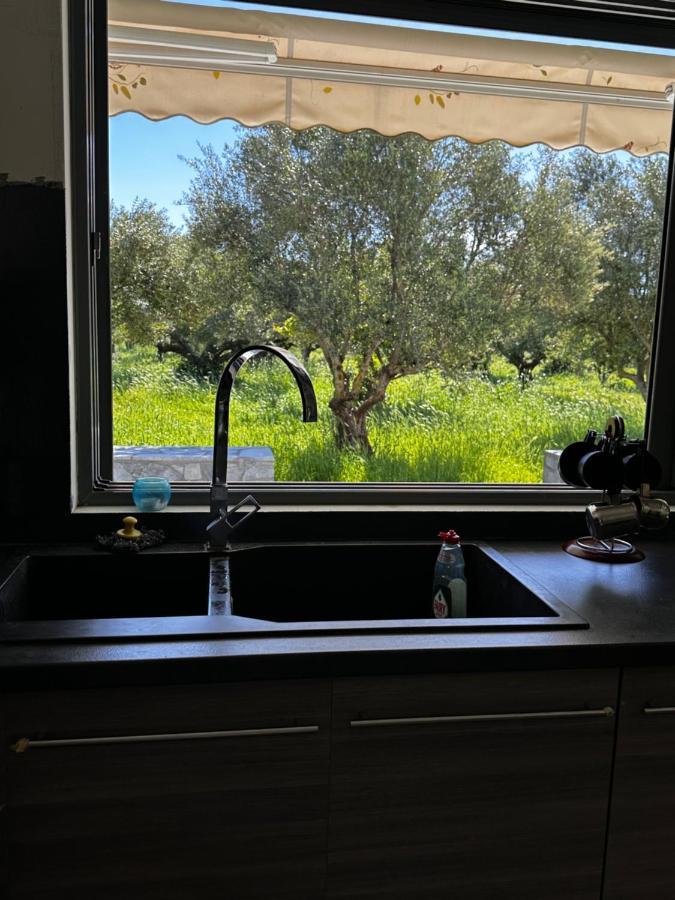 Elaiocampus Luxury House Διαμέρισμα