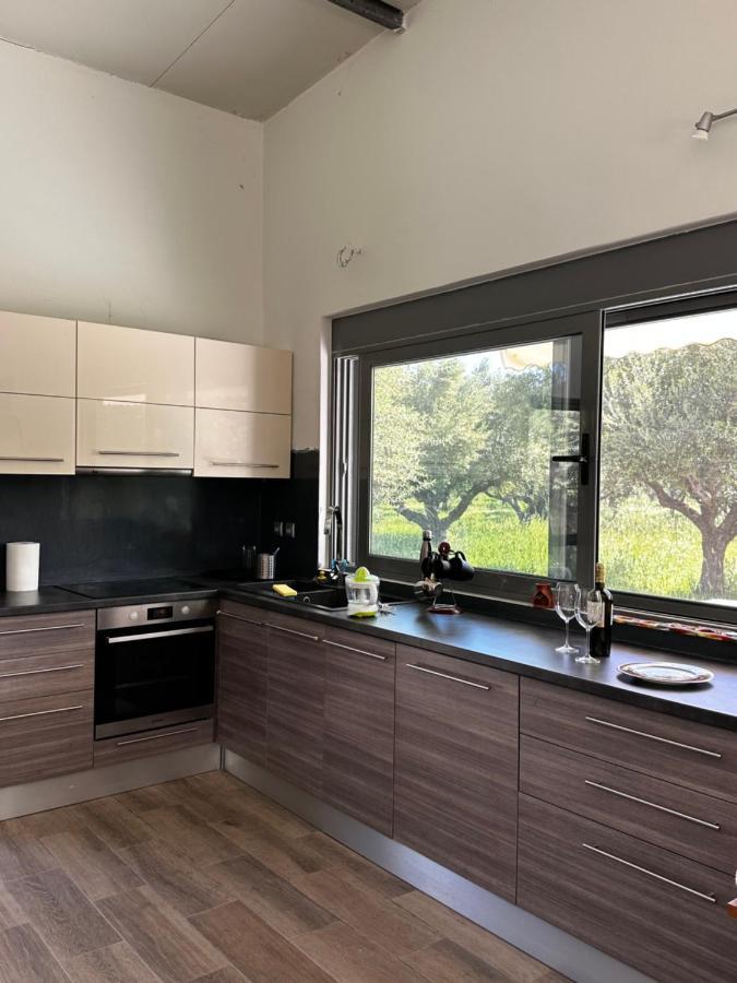 Apartment Elaiocampus Luxury House Kamares (Mani)