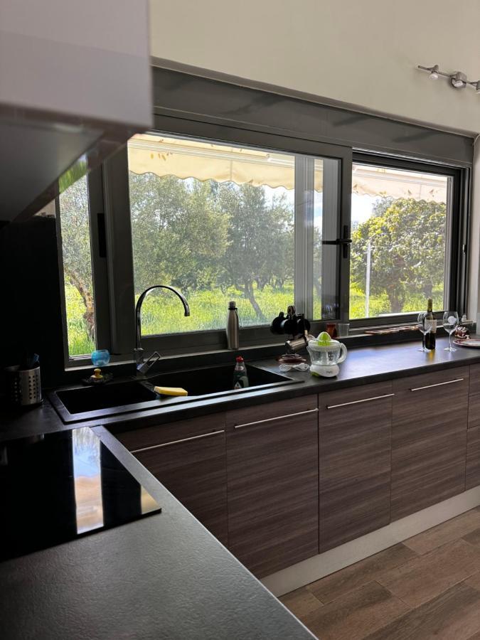 Elaiocampus Luxury House Apartment
