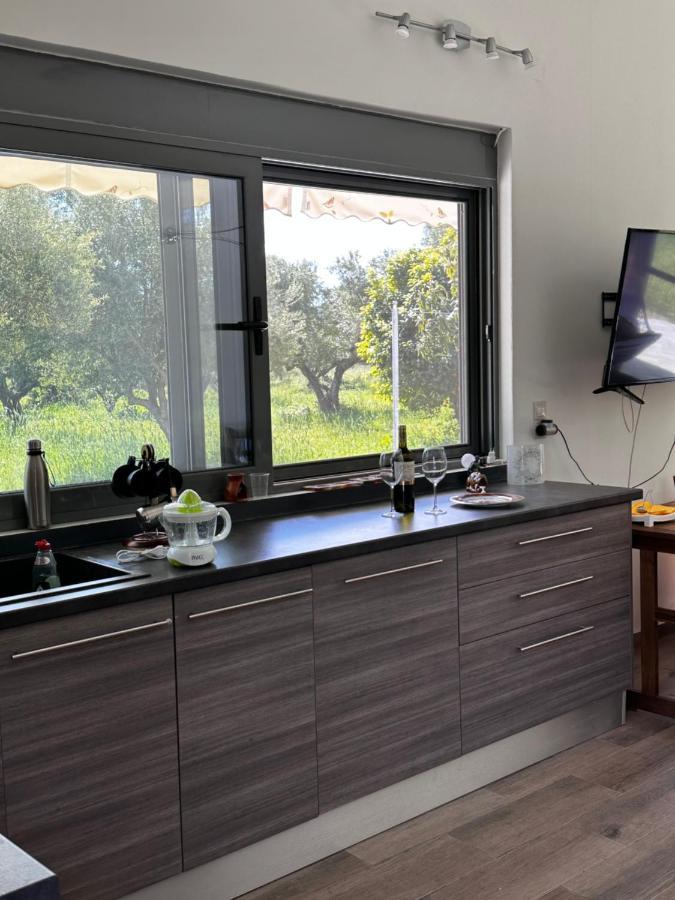 Apartment Elaiocampus Luxury House *